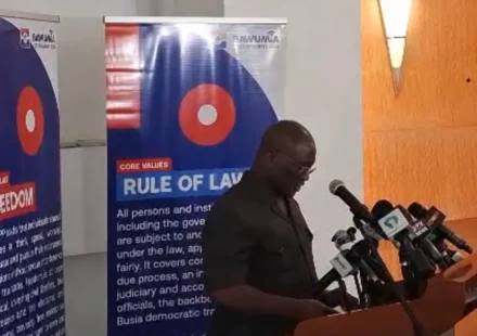 NPP Rejects Five-Year Presidential Term