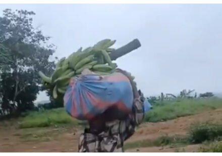 ‘I Am a Thief’ – Man Accused of Stealing Plantains and Cassava Paraded Through Town In The Eastern Region