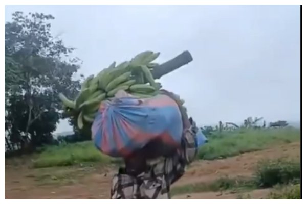 ‘I Am a Thief’ – Man Accused of Stealing Plantains and Cassava Paraded Through Town In The Eastern Region